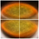 Spinach & Mushroom Quiche