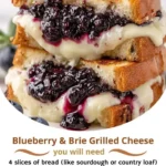 Blueberry & Brie Grilled Cheese