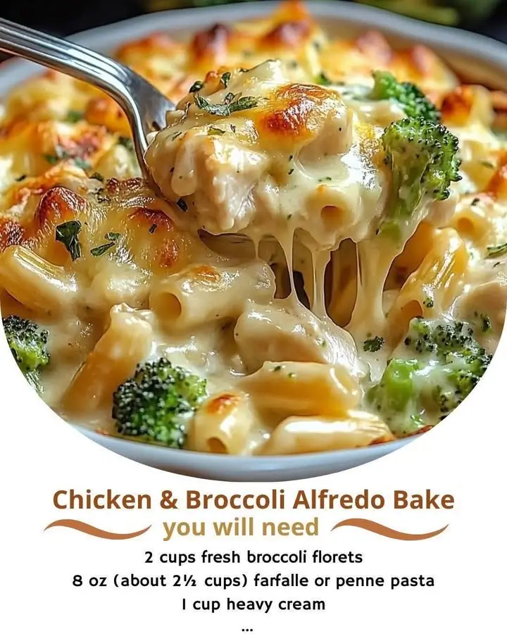 Chicken & Broccoli Alfredo Bake