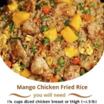 Mango Chicken Fried Rice