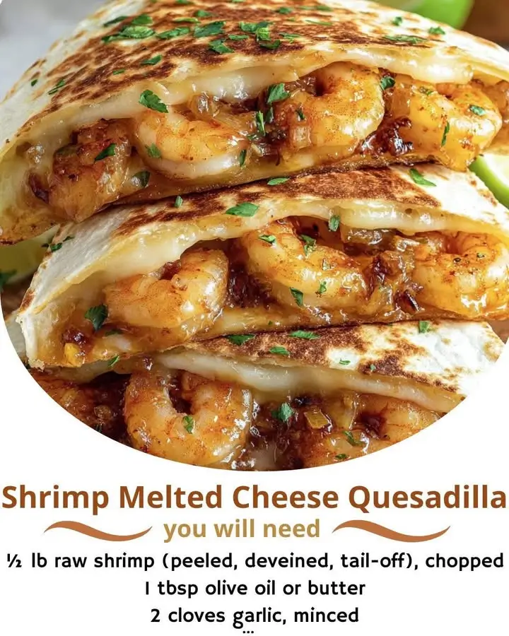 Shrimp Melted Cheese Quesadilla