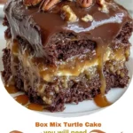 Box Mix Turtle Cake