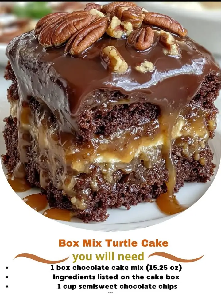 Box Mix Turtle Cake