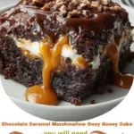 Chocolate Caramel Marshmallow Ooey Gooey Cake