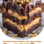 Chocolate Peanut Butter Ooey Gooey Cake