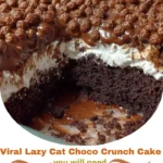 Viral Lazy Cat Choco Crunch Cake