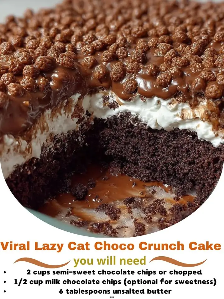 Viral Lazy Cat Choco Crunch Cake