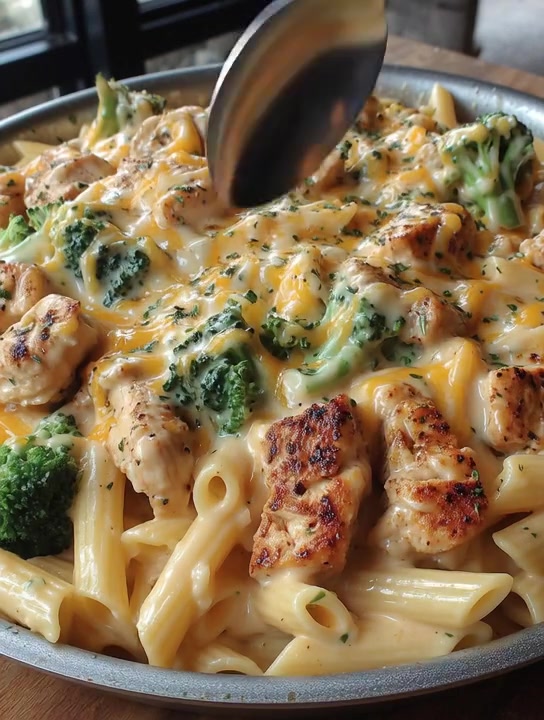 Cajun Chicken Broccoli Alfredo