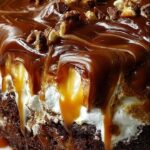 Chocolate Caramel Marshmallow Ooey Gooey Cake